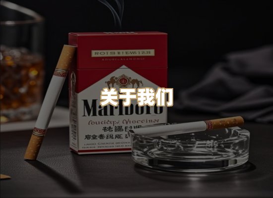 关于云歌烟网